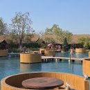 카페 인(cafe in) | 미니 몰디브 감성' 제대로 챙기는 수상 카페 버블 인더 포레스트(Bubble in the Forest Cafe) 방문후기