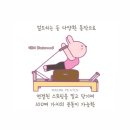 트라비즈 이미지