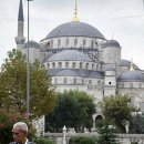 고양이랑 이미지