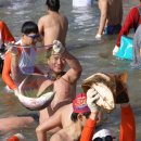 거제도국제펭귄수영축제 이미지