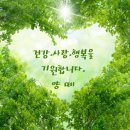 우리 동내 이팝나무꽃 이미지