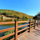 입곡군립공원(산림욕장) 이미지