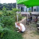김문환농장 네이버블로그