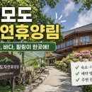 석모도자연휴양림입구 네이버블로그
