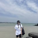 테라김밥 - 마포구 어울마당로 79 | 테라김밥