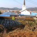 와초리농장 이미지