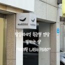 lash-peak(래쉬 픽)