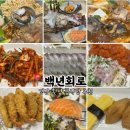 백년회로 | 경산 횟집 물회 맛집 룸식당 추천 백년회로 경산 옥산점