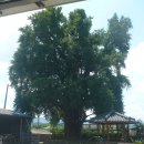 청도마을회관 이미지