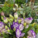 영플라워 | 관저동꽃집 영플라워샵에서 고른 기분전환 꽃다발 후기