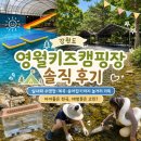 중화중학교옆 공터앞 | 강원도 아이랑 가볼만한 영월키즈캠핑장 내돈내산｜실내온수수영장·계곡·명당 솔직후기