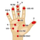 신비코