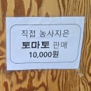 딸부자꼬마김밥반곡점 | #원주 딸부자 꼬마김밥 반곡점과방울토마토!