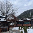 고양이숲 | 서울 근교 숙소 추천 • 겨울 1박 2일 여행 • 양평 에어비앤비 고양이숲 • 바베큐 후기