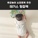 책이랑놀이랑 | 태기스 헝겊책 추천, 신생아 장난감으로 좋은 촉감놀이 소프트북 후기
