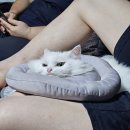 신강산업 | 이게 가을이야 겨울이야(11월 입니다만)