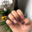 비커밍로즈