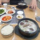 수원 해장맛집 전주진피순대 내돈내산 추천 후기