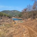 광이농장 이미지