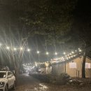 투다리 영월점 | 일곱번째 캠핑 : 돌풍속의 우중캠핑 (영월느티나무 캠핑장)