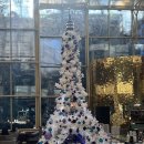 안뜨레 | W19. 노보텔 엠베서더 강남 웨딩 - 상견례 겸 시식 후기(안뜨레)