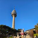 스카이에비뉴트레블(주) | 대구 이월드 야간 자유이용권 가격 쿠팡 트래블 보상쿠폰 사용 후기