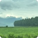 도동경로식당 | 2025 홋카이도 도동지방 로드트립🚙 DAY 1＊오비히로 (부타동 톤타, 롯카테이, 크랜베리 페스트리 샵...