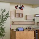 엠에스티(MST) 이미지