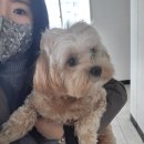 이앤박동물병원 이미지