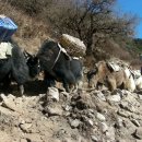 수송 블랙야크 이미지