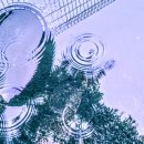 창신세탁소 이미지