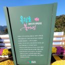 임실축협 한우명품관 | 문화 탐방 일실 치즈테마파크 옥정호 붕어 섬