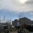 평동초등학교 | 별관과 테라스도 있어서 사진 찍으며 힐링하기 좋은 평동애견동반카페 내돈내산 솔직후기-'카페 모먼트'