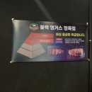 삼양정육점 네이버블로그