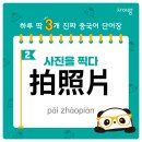 사진을 찍다 이미지