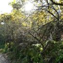 서지농원 이미지