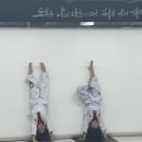 푸른태권도체육관