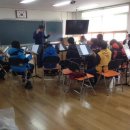 화순만연초 이미지