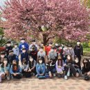 당진초등학교 이미지