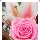 꿈이있는 이미지