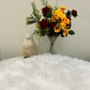 사랑해똥깡아지 이미지