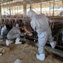 경남가축약품 이미지