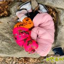 난향동-11 이미지