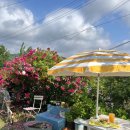 강동로3-17 이미지