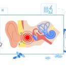 시그니아 보청기 이미지
