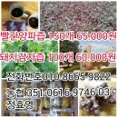 땅끝농장 이미지