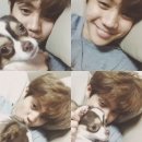 다정한오후 이미지