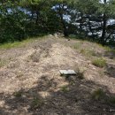 삼가향어 이미지