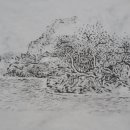 한국화A반 이미지