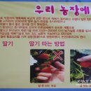 기종농장 이미지